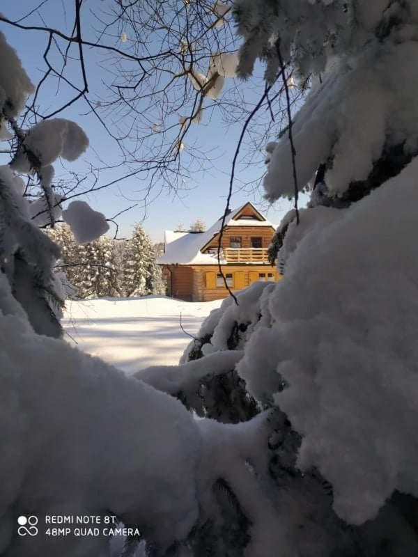 Gosciniec Dziubasowki Villa Nowy Targ Kültér fotó