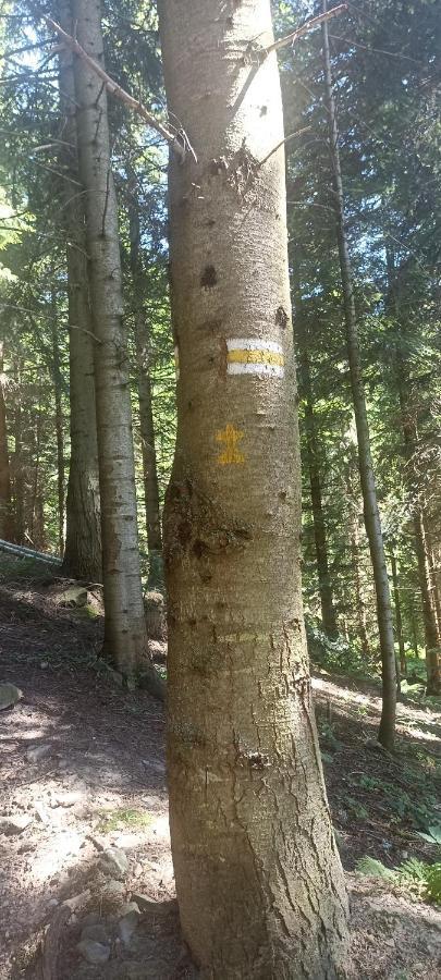 Gosciniec Dziubasowki Villa Nowy Targ Kültér fotó