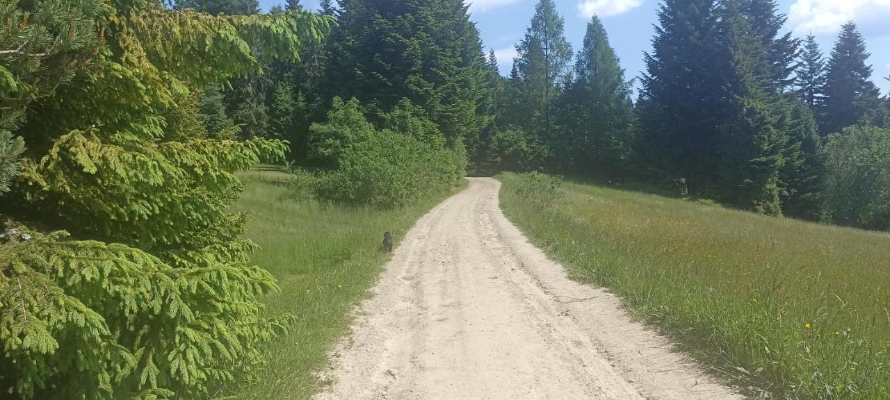 Gosciniec Dziubasowki Villa Nowy Targ Kültér fotó