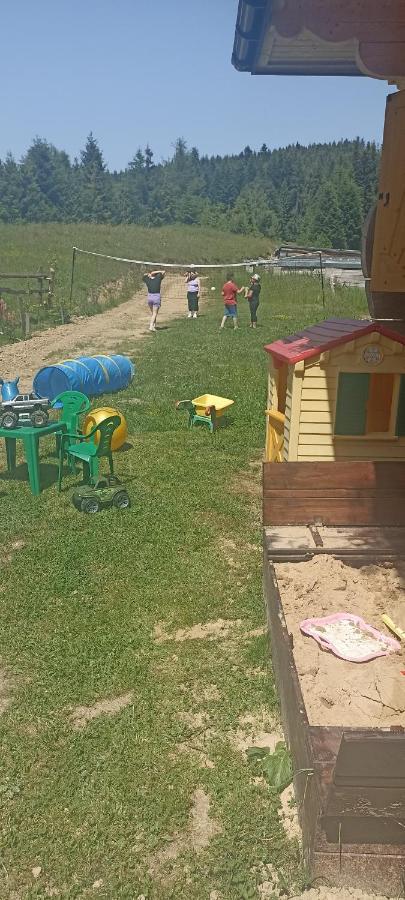 Gosciniec Dziubasowki Villa Nowy Targ Kültér fotó