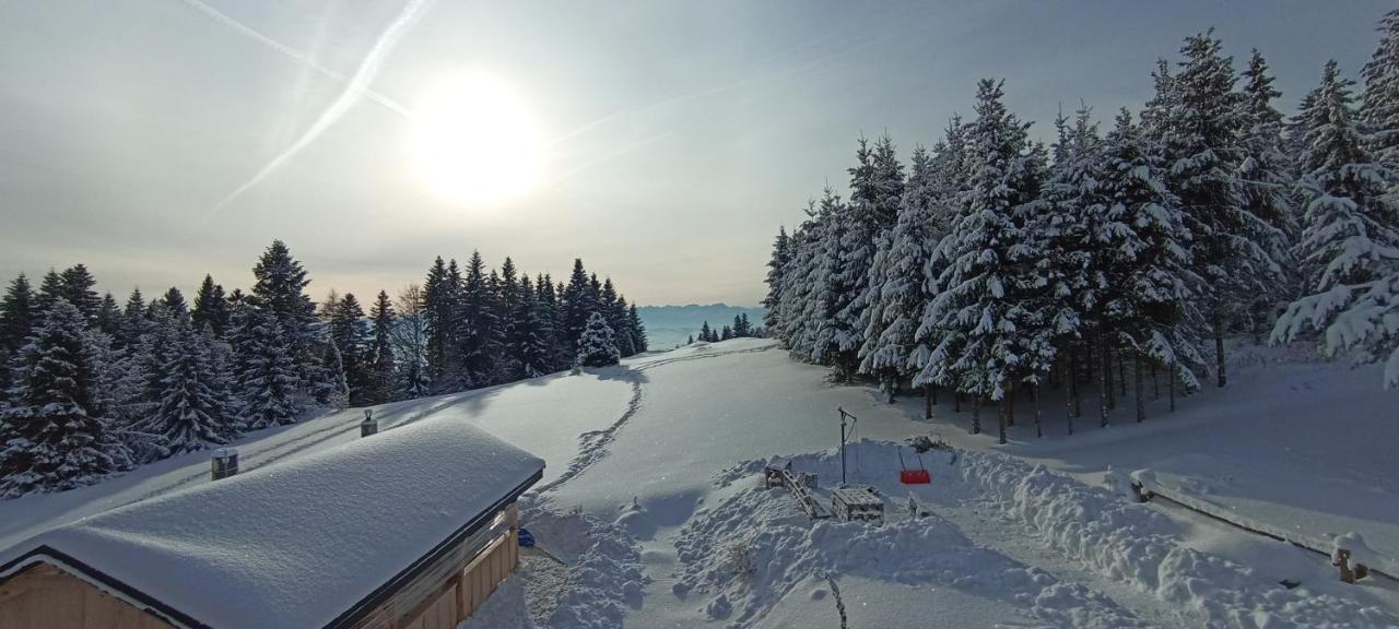 Gosciniec Dziubasowki Villa Nowy Targ Kültér fotó