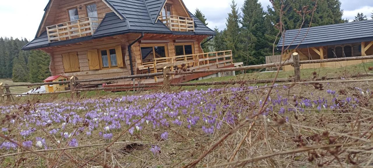 Gosciniec Dziubasowki Villa Nowy Targ Kültér fotó